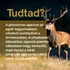 Gím Szarvas Csomag: Természetes Támogatás a Mindennapokra