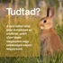 Nyúl: Vitalitás, Mozgás és Csonttámogató Csomag