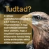 Rétisas Csomag: Nyugalom és Egyensúly